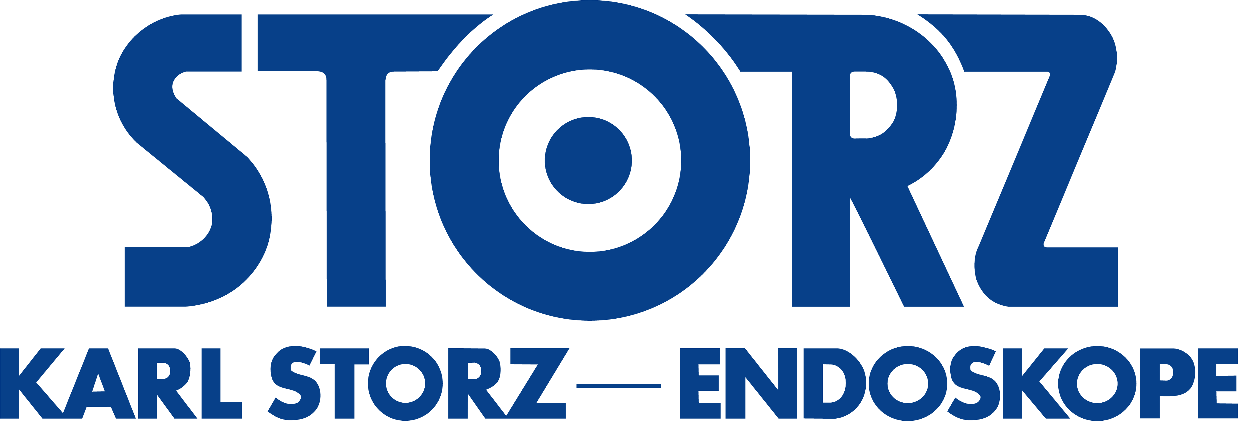 ТОО "KARL STORZ ENDOSCOPY KASACHSTAN"